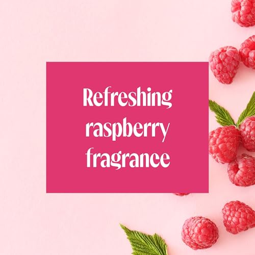 Skintimate Raspberry Rain Moisturizing Shave Gel 198g