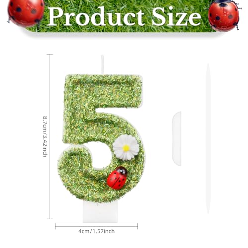 Green Ladybug Number 2 Birthday Candle with Daisy Decoration