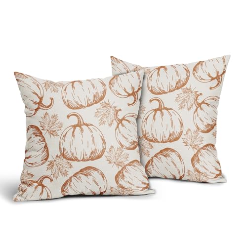 18x18 Inch Set of 2 Burnt Orange Pumpkin Print Pillow Covers