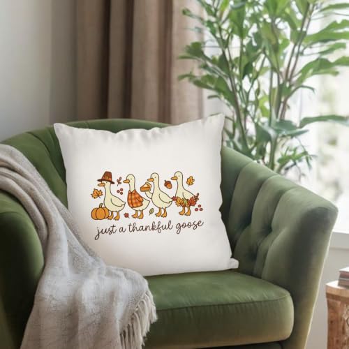 Fall Farmhouse Thanksgiving Goose Throw Pillow Cover 18x18, Fall11