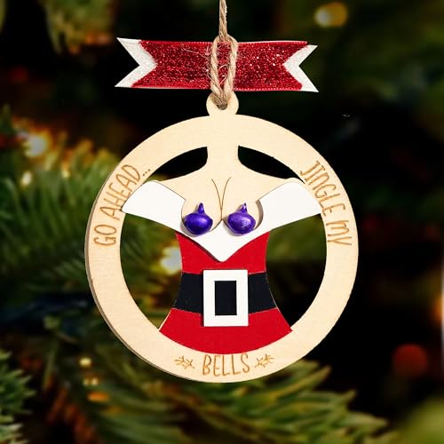 Funny Christmas Ornaments - Humorous Wooden Tree Decor Gifts