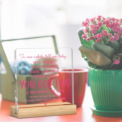 Inspirational Acrylic Desk Sign - Pink 07 Motivational Affirmation Plaque