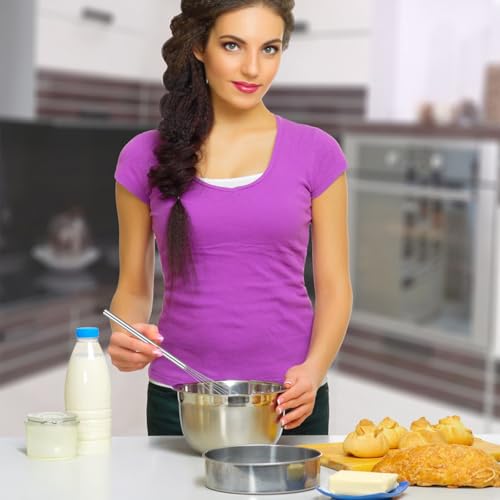 Hecila Mini Stainless Steel Whisk - 10.4 Inch Egg Beater & Mixer