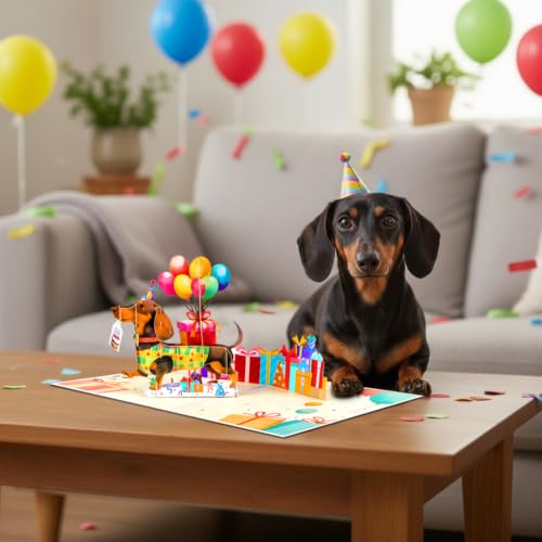 Dachshund Birthday Card Pop Up | Funny Sausage Dog Card for Dog Lovers