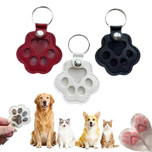 3 Pcs Paw Print Keychain Set for Pet Hair Keepsake Gift