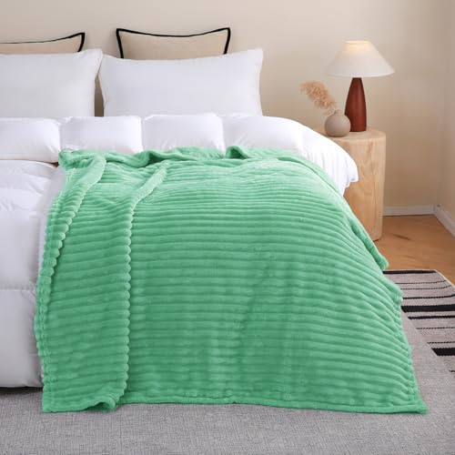 Mint Green Fleece Throw Blanket 50"x60" for Couch & Sofa