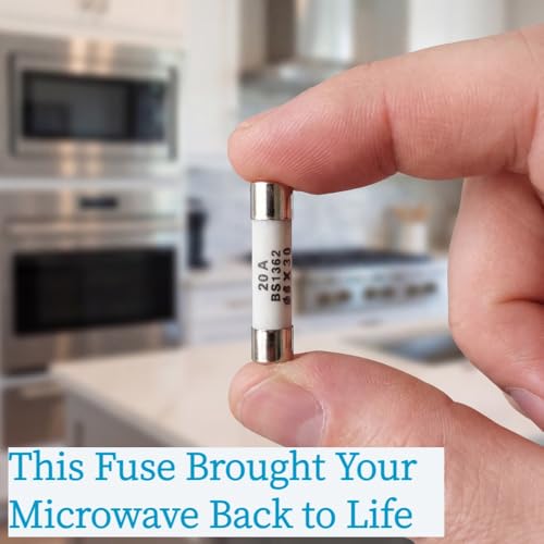 20A Microwave Fuse 5-Pack, Slow-Blow Ceramic Replacement