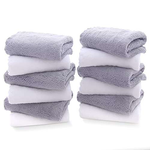 TENSTARS 12 Pack Ultra Soft Microfiber Washcloths - Quick Drying & Highly Absorbent