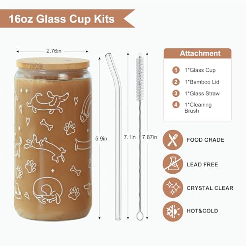 Dachshund Glass Cup with Lid & Straw - Dog Lover Gift, 16oz