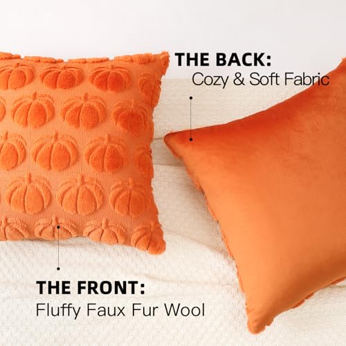 OTOSTAR Fall Pumpkin Throw Pillow Covers, 20x20 Inch Orange Set of 2