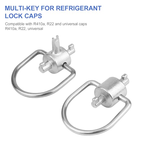 HVAC Refrigerant Locking Key Set for R410A, R22 & Universal Caps - 2 & 3 Bits