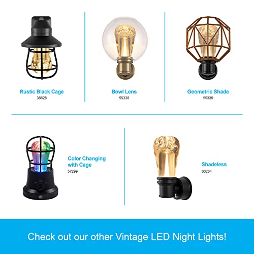 Edison Filament Night Light 2-Pack with Dusk to Dawn Sensor - Black