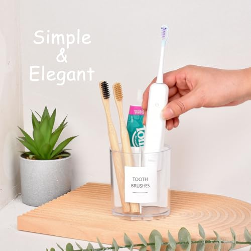 Onsogi Acrylic Toothbrush Holder with Divider for Electric Toothbrushes