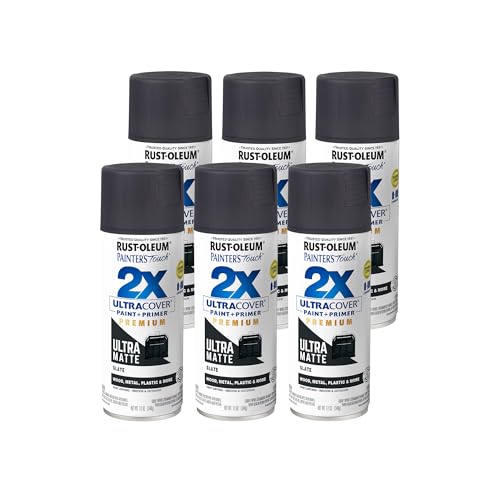 Rust-Oleum Painter's Touch 2X Ultra Matte Slate Spray Paint - 6 Pack