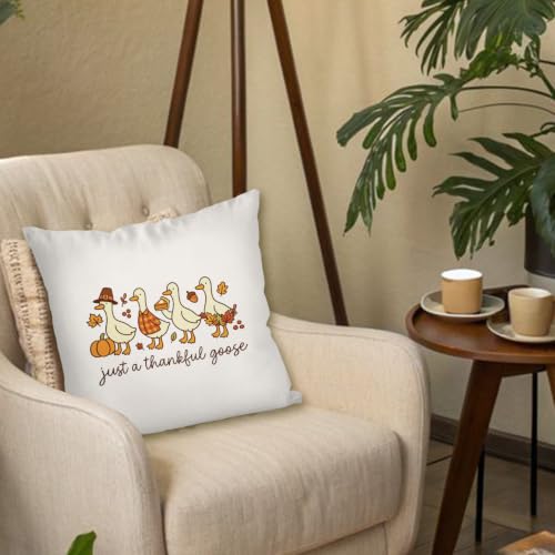 Fall Farmhouse Thanksgiving Goose Throw Pillow Cover 18x18, Fall11