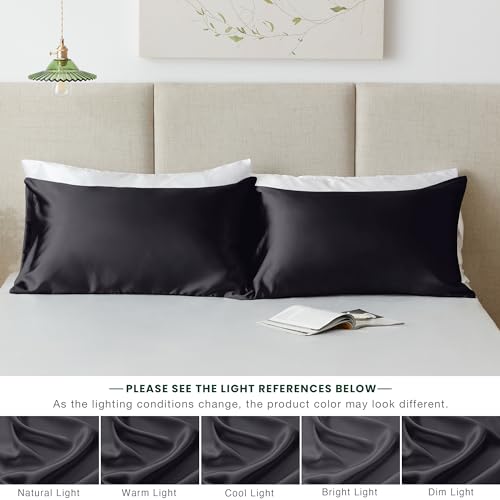 Love's Cabin Satin Pillowcase Set of 2, Queen Size Black 20x30