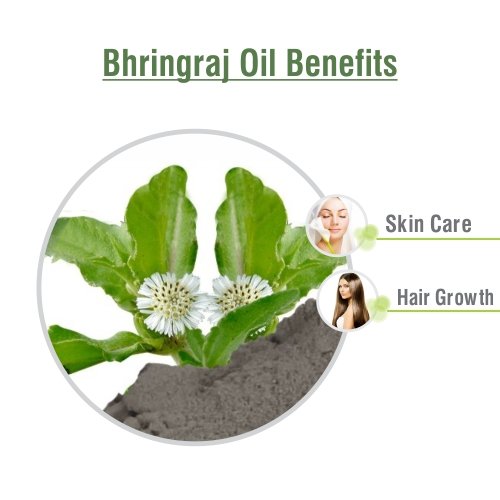 Salvia Bhringraj Oil Nourishing Hair & Scalp Treatment 30 ml
