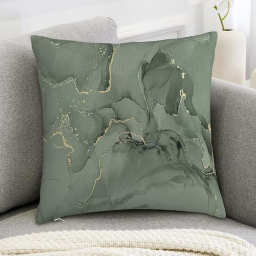 Sage Green and Gold Abstract Throw Pillow Cover, 18x18 Inch Plush Case Zjf16