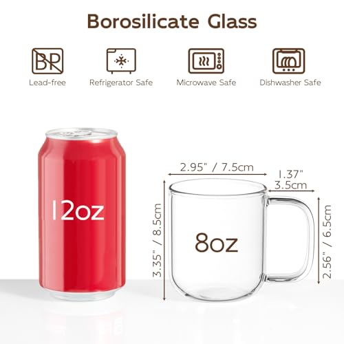 BWODYAY 8 oz Glass Coffee Mugs, Set of 2 Clear Borosilicate Tea Cups