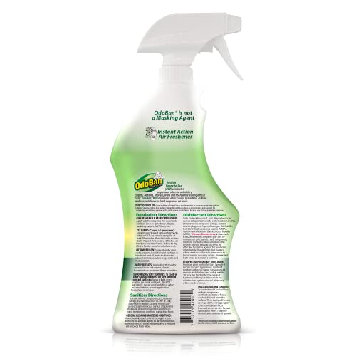 OdoBan Eucalyptus Disinfectant Spray Set - 32 Oz, Pack of 3