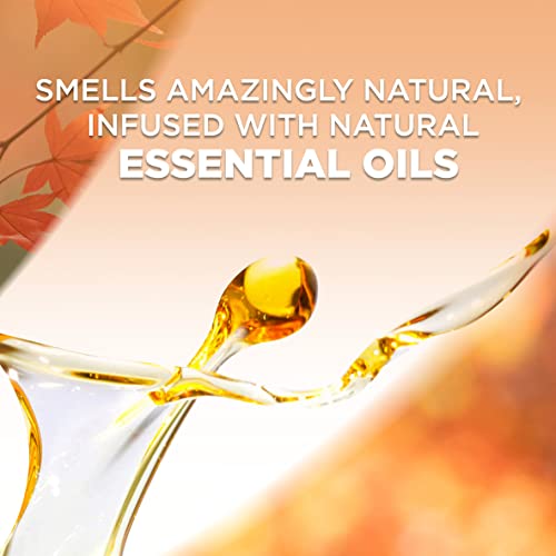 Air Wick Scented Oil Refill, 10ct - Bonfire & Vanilla, 6.7 Fl Oz