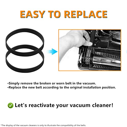 Replacement Vacuum Belts for Riccar 8000, 4000, 2000 & R Series - A20-R2 (2 Pack)