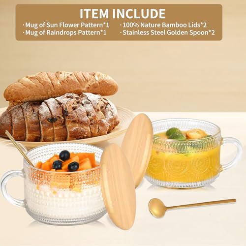 DOPUDO Vintage Glass Coffee Mugs with Bamboo Lids - 14oz (Set of 2)