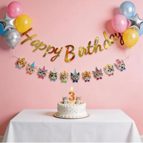 Cat Birthday Banner Set - 10 Cute Cat Face Decorations