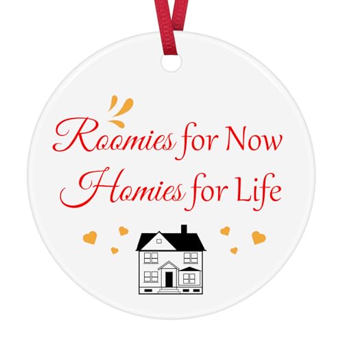 Ceramic Hanging Ornament for Roommates - Friendship Gift