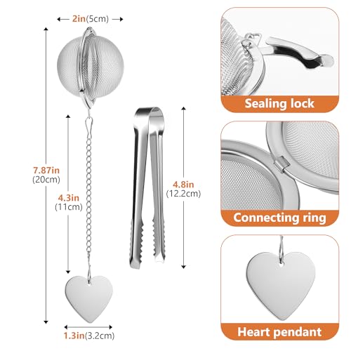 Stainless Steel Tea Infuser 2 Pack – Fine Mesh Loose Leaf Tea Strainers with Bonus Scoop