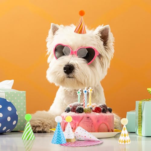 10 Pcs Colorful Mini Birthday Hats for Pets and Stuffed Animals