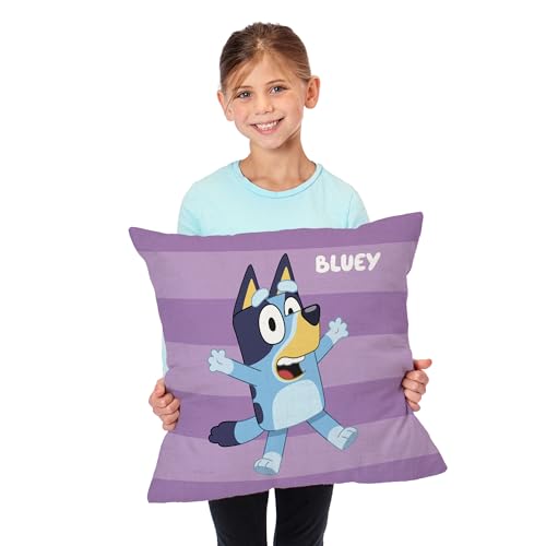 NORTHWEST Bluey Pillow, 18" x 18", Roll Call Bluey