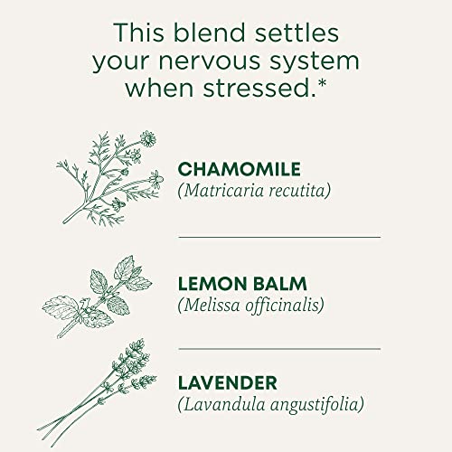 Traditional Medicinals Organic Chamomile & Lavender Tea Bags Pack of 3 - 32 Count Each, Caffeine-Free, USDA Certified Organic