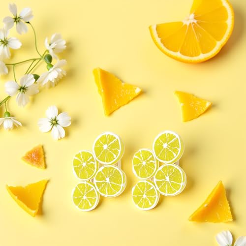 ZLmoue 4Pcs Double Lemon Slices Hair Clips Duckbill Barrettes
