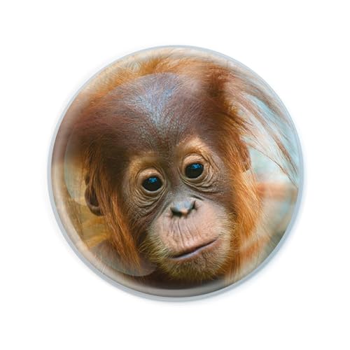Magnidome Orangutan Fridge Magnet - Cute Crystal Glass Decor