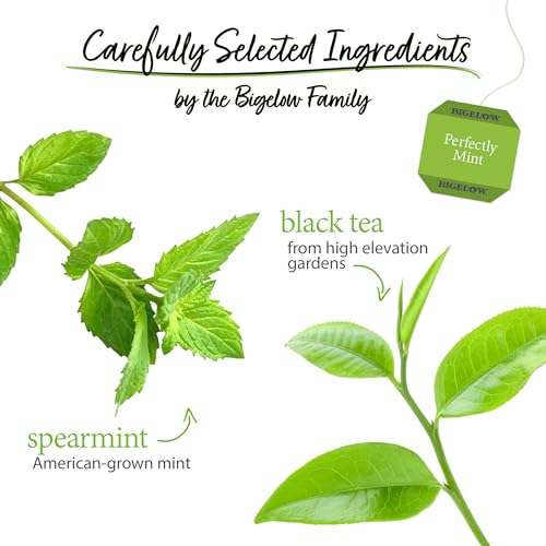 Bigelow Perfectly Mint Black Tea - 20 Count (Pack of 6)