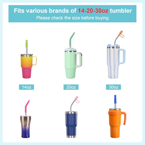 6-Piece Reusable Stainless Steel Straw Set with Silicone Tips & Case - Silver