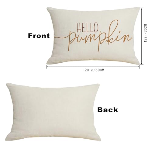 Hello Pumpkin Fall Lumbar Pillow Cover 12x20 Linen Autumn Decor