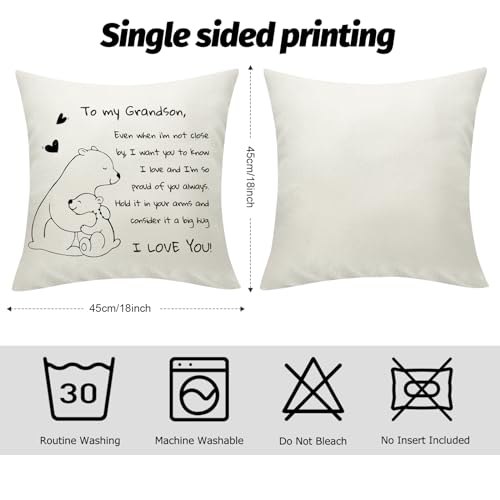 Grandson Gift Throw Pillow Cover - I Love You Bear Design 18x18