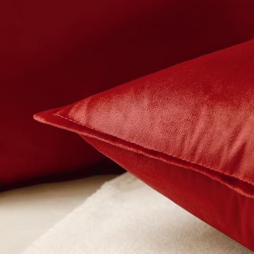 Christmas Red Velvet Throw Pillow Covers Set of 2 22x22 Inches - Holiday Home Decor