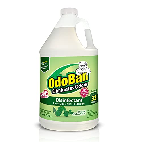 OdoBan Eucalyptus Disinfectant Cleaner Concentrate - 1 Gallon