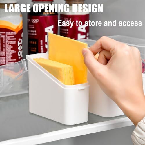 Airtight Sliced Cheese Storage Container - 2 Pack, Clear