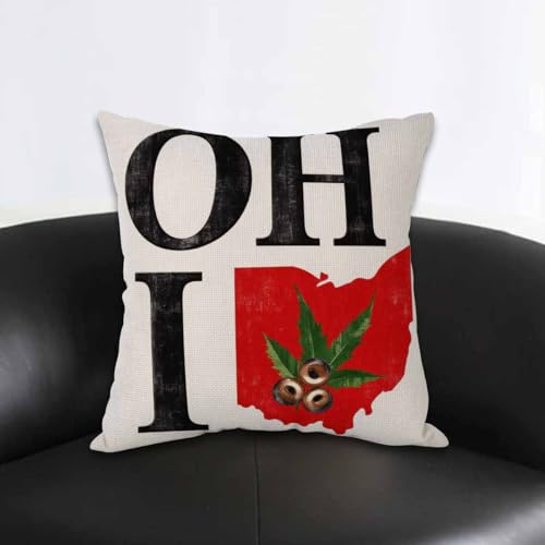 Ohio State Throw Pillow Cover 18x18 Vintage Buckeye Nut - Multi-a193