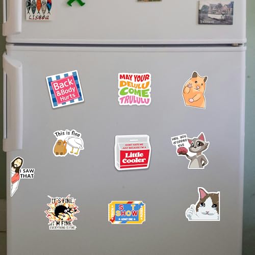 Debinolo Funny Fridge Magnets - 16 Piece Meme Set for Kitchen and Office