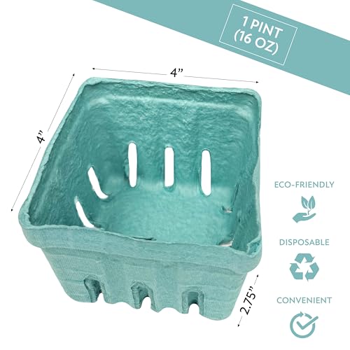 Green Berry Basket - 15 Pack Vented Produce Containers for Fruits & Vegetables