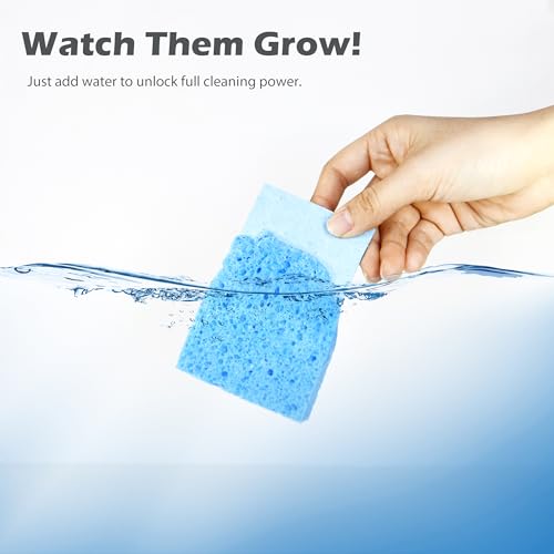 Cellulose Kitchen Sponges 6 Pack - Eco-Friendly, Absorbent & Non-Scratch Cleaning