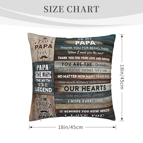 Papa Throw Pillow Cover 18x18 | Best Gifts from Grandkids