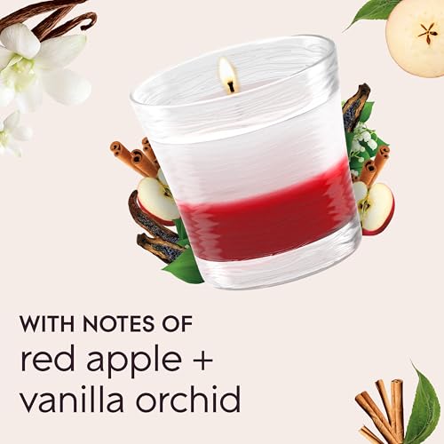 Glade 1-Wick Scented Candle Jar, Sheer Vanilla Embrace & Apple Cinnamon, 4.08 Oz, 2 Count