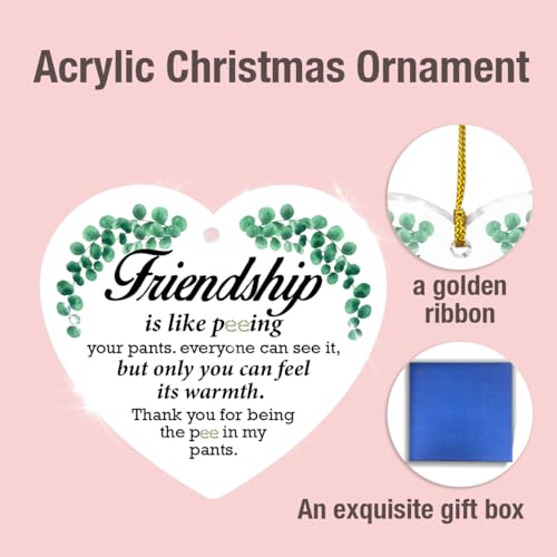 Funny Friendship Acrylic Ornament Keepsake Gift for Best Friends
