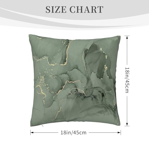 Sage Green and Gold Abstract Throw Pillow Cover, 18x18 Inch Plush Case Zjf16